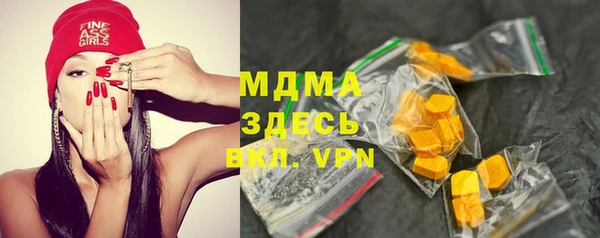 прущие грибы Тайга