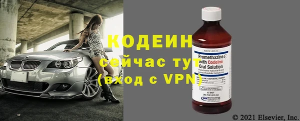 прущие грибы Покровск