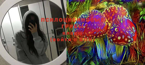 мяу мяу мука Покачи
