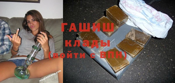 прущие грибы Тайга