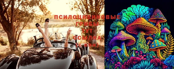 прущие грибы Покровск