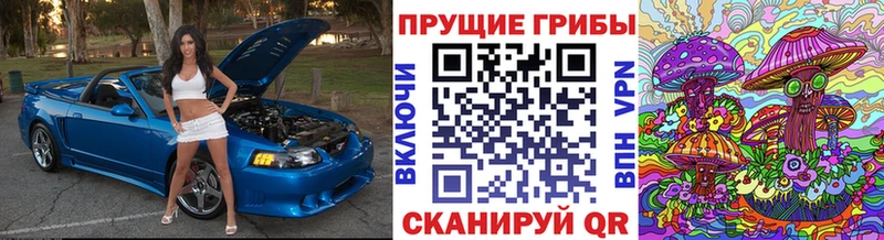Галлюциногенные грибы прущие грибы Алдан